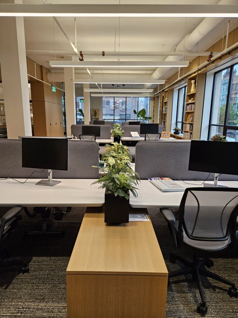 Office Space at Wagner Foundation with computer monitors, chairs and decorative plants, Cambridge MA